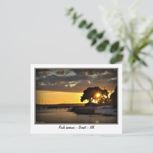 Sunset at Poole harbor - Dorset - Uk ポストカード (スタンド正面)