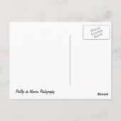 Sunset at Poole harbor - Dorset - Uk ポストカード (裏面)