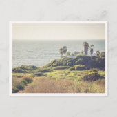 Sunset Cliffs Point Loma San Diego Palm Trees ポストカード (正面)