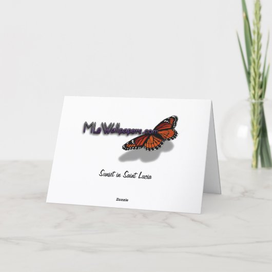 Sunset Clouds and Sailboat Seascape サンキューカード (裏面)