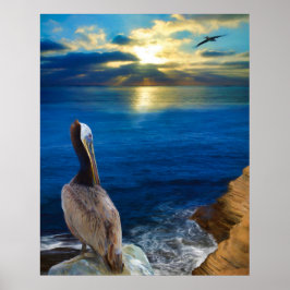 SUNSET EYES OF A PELICAN ポスター