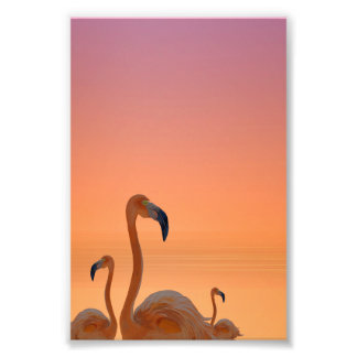 Sunset Flamingo Tropical Poster フォトプリント