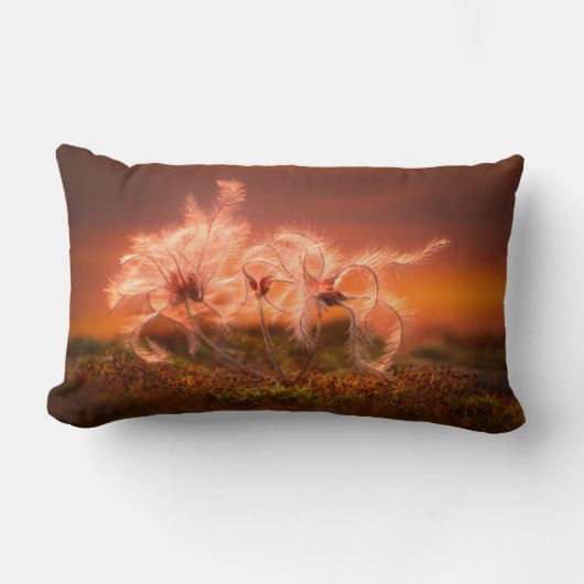 Sunset Macro Nature Scene of Moss and Plant  ランバークッション (正面)
