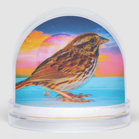 Sunset Melody (正面)