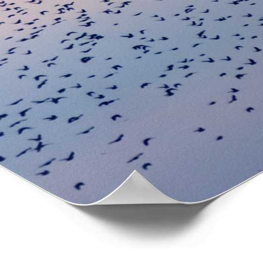 Sunset Murmuration Poster ポスター (角)