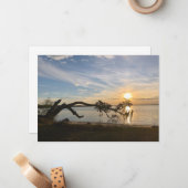 Sunset Over East Bay ノートカード (正面/裏面インサイチュ)