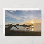 Sunset Over East Bay ノートカード (正面/裏面)