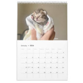 Sunset Park Cats | 2026 Calendar | Kittens カレンダー (1月 2026)