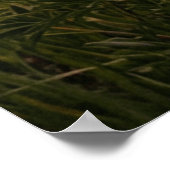 Sunset River Landscape Poster ポスター (角)