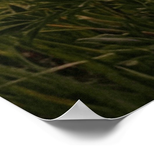 Sunset River Landscape Poster ポスター (角)