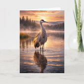 Sunset Sandhill Crane Reflective Water Scene カード (正面)