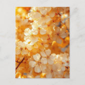 Sunset Serenity" Landscape Art Postcard | Premium  ポストカード (正面)