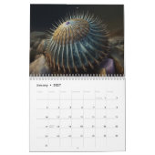 Sunset Shore カレンダー (1月 2027)