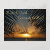 Sunset Through Palm Fromds日付はがきを保存 案内ポストカード (正面)