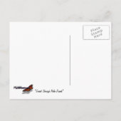 Sunset Through Palm Fromds日付はがきを保存 案内ポストカード (裏面)