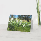 Sunshineの降雪 – パーソナライズされた誕生日 カード (裏面)