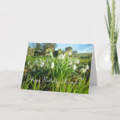 Sunshineの降雪 – パーソナライズされた誕生日 カード (正面)