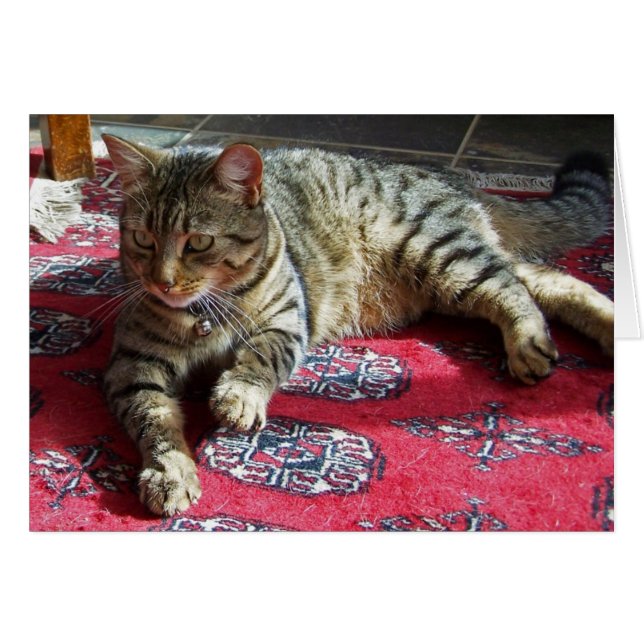 Sunshine2のMinnie (正面横)