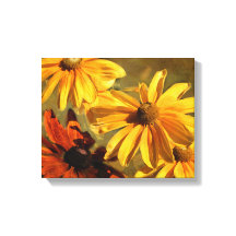 Sunshine in my Garden Canvas Print