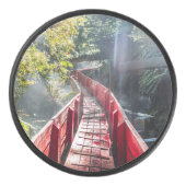 Sunshine in the Termas Geometricas, Coaripe, Chil アイスホッケーパック (正面)