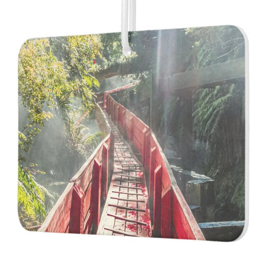 Sunshine in the Termas Geometricas, Coaripe, Chil カーエアーフレッシュナー (左)