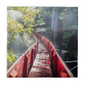 Sunshine in the Termas Geometricas, Coaripe, Chil タイル (正面)