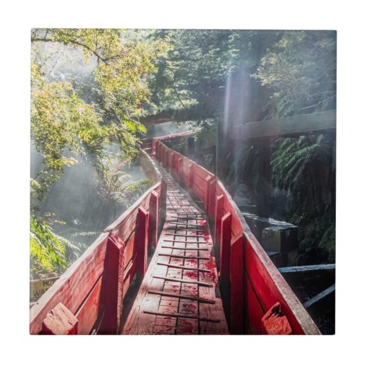 Sunshine in the Termas Geometricas, Coaripe, Chil タイル (正面)