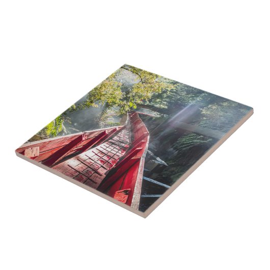 Sunshine in the Termas Geometricas, Coaripe, Chil タイル (側面)