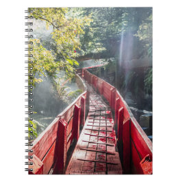 Sunshine in the Termas Geometricas, Coaripe, Chil ノートブック