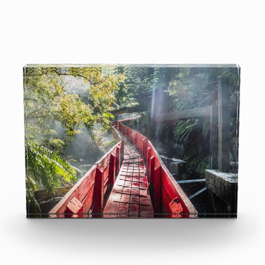 Sunshine in the Termas Geometricas, Coaripe, Chil フォトブロック (正面)