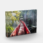 Sunshine in the Termas Geometricas, Coaripe, Chil フォトブロック (左)