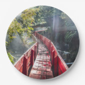 Sunshine in the Termas Geometricas, Coaripe, Chil ペーパープレート (正面)