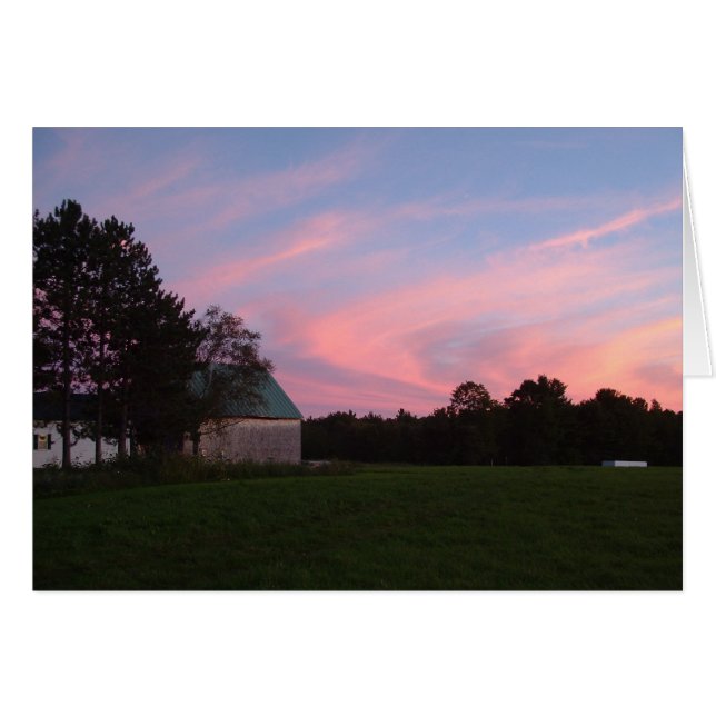 Sunswirl (正面横)