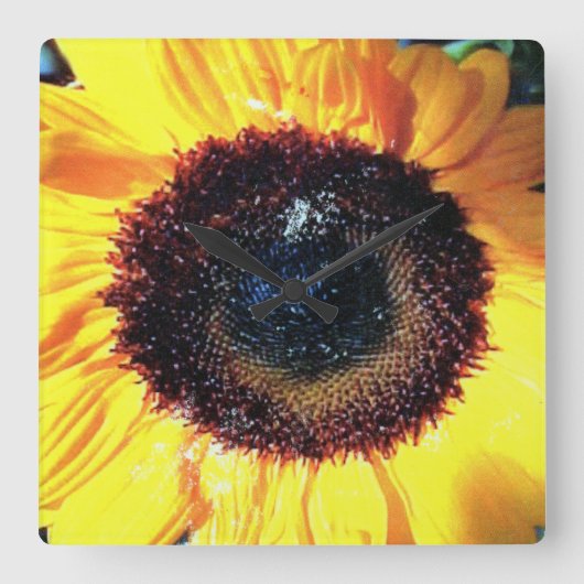 SUNTIME スクエア壁時計 (正面)