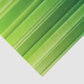 Sunveil Memory 薄葉紙 (詳細)