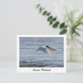 Suomi, Finland自然写真 ポストカード (スタンド正面)