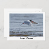 Suomi, Finland自然写真 ポストカード (正面/裏面)