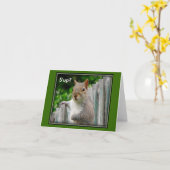 S'upか。- notecard カード (黄色い花)