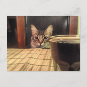 Sup ビール? 面白いユモア キティ キャット フォト 写真撮影 ポストカード