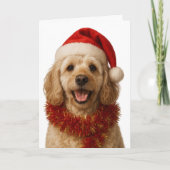 Super cute cream Cockerpoo Christmas card カード (正面)