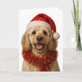 Super cute cream Cockerpoo Christmas card カード