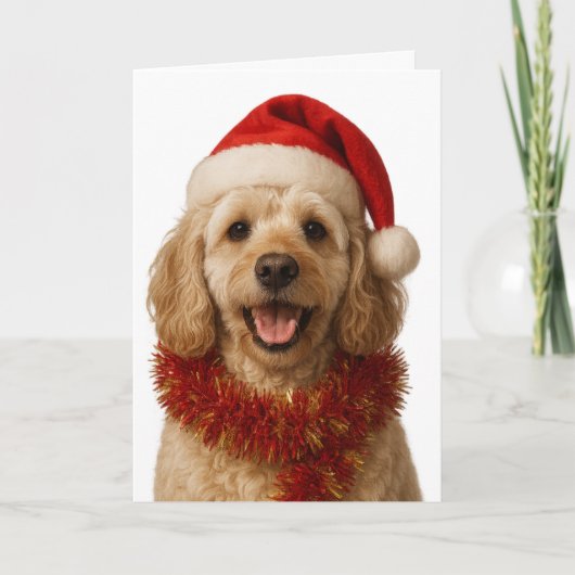 Super cute cream Cockerpoo Christmas card カード (正面)