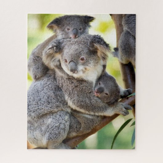 Super Cute Koala Wildlife Family Group ジグソーパズル (縦)