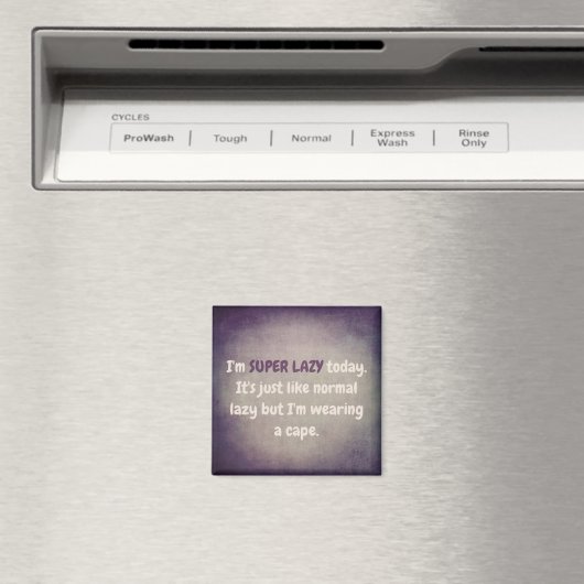 SUPER LAZY マグネット (インサイチュ (食洗機))