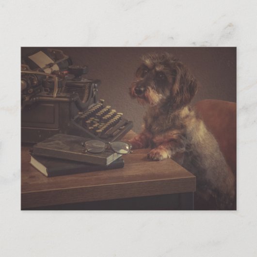 Super leuke teckel kaart ポストカード (正面)