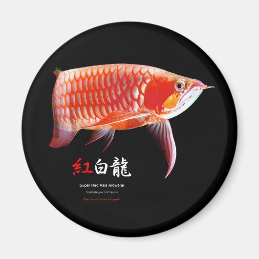 Super Red Arowanaの冷蔵庫マグネット,No.01 マグネット (正面)