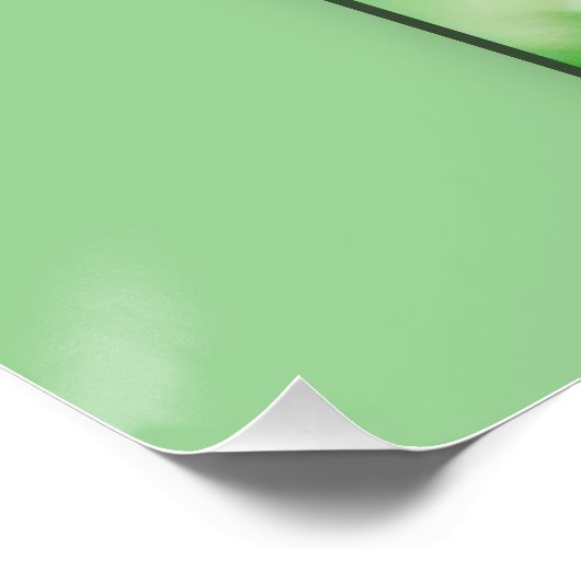 Superaffe, ポスター (コーナー)