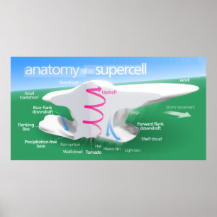 Supercellの嵐の図表の解剖学 ポスター