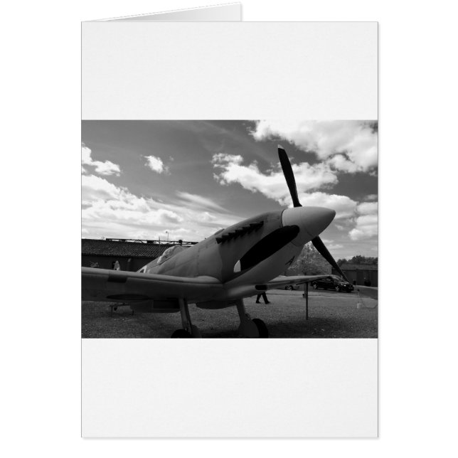 Supermarineの短気者 (正面)