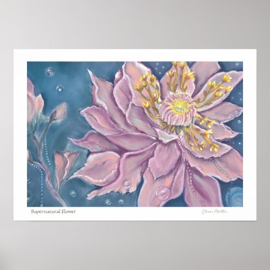 Supernatural Flower ポスター (正面)